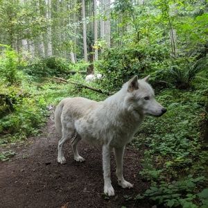 Meet your Posher, Joseph